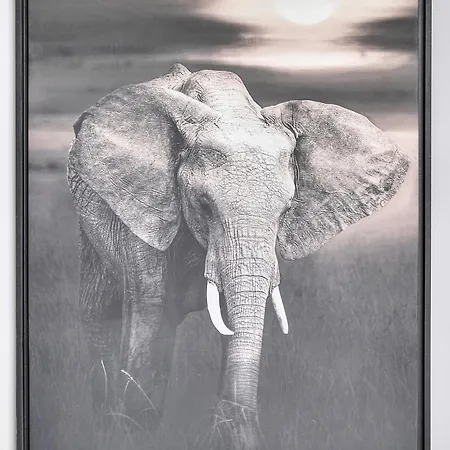 Le Erve-350m Plage-wifi Clim-vca Apartamento *